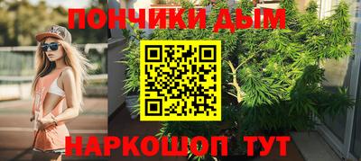 шишки Гусиноозёрск