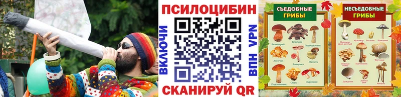 цена наркотик  Новоалександровск  Псилоцибиновые грибы прущие грибы 