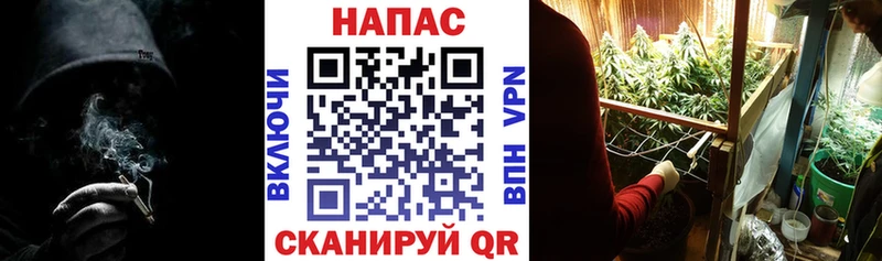 Шишки марихуана семена  купить наркоту  Новоалександровск 